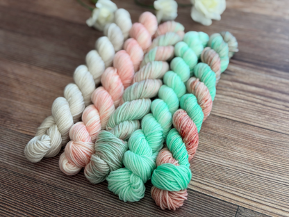 Saltwater Boardwalk Petite Luxe Set