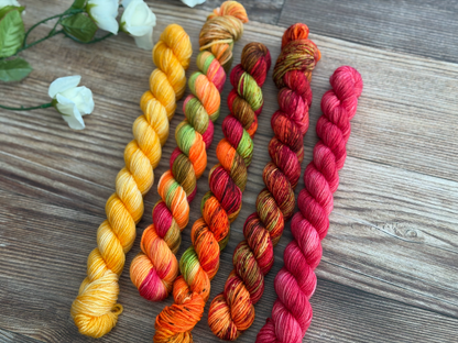 Ember Rostrata Petite Luxe Set
