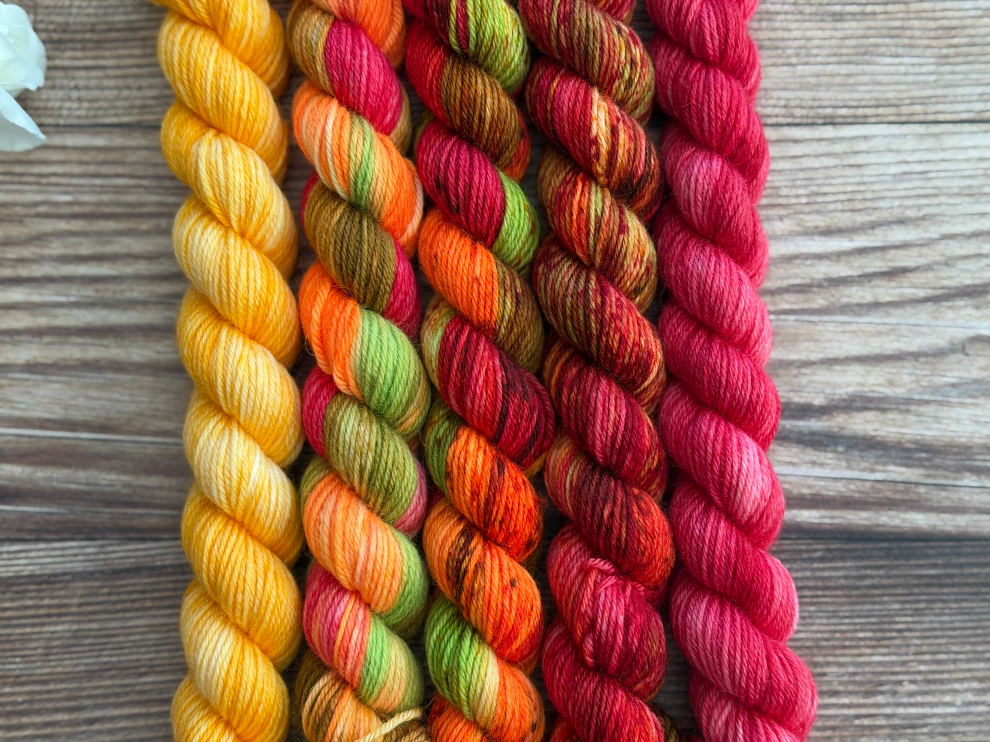 Ember Rostrata Petite Luxe Set