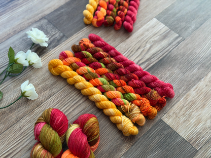Ember Rostrata Petite Luxe Set