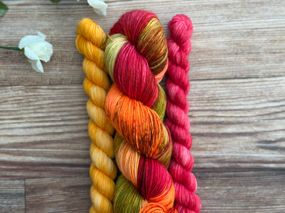 Ember Rostrata Essential Sock Set