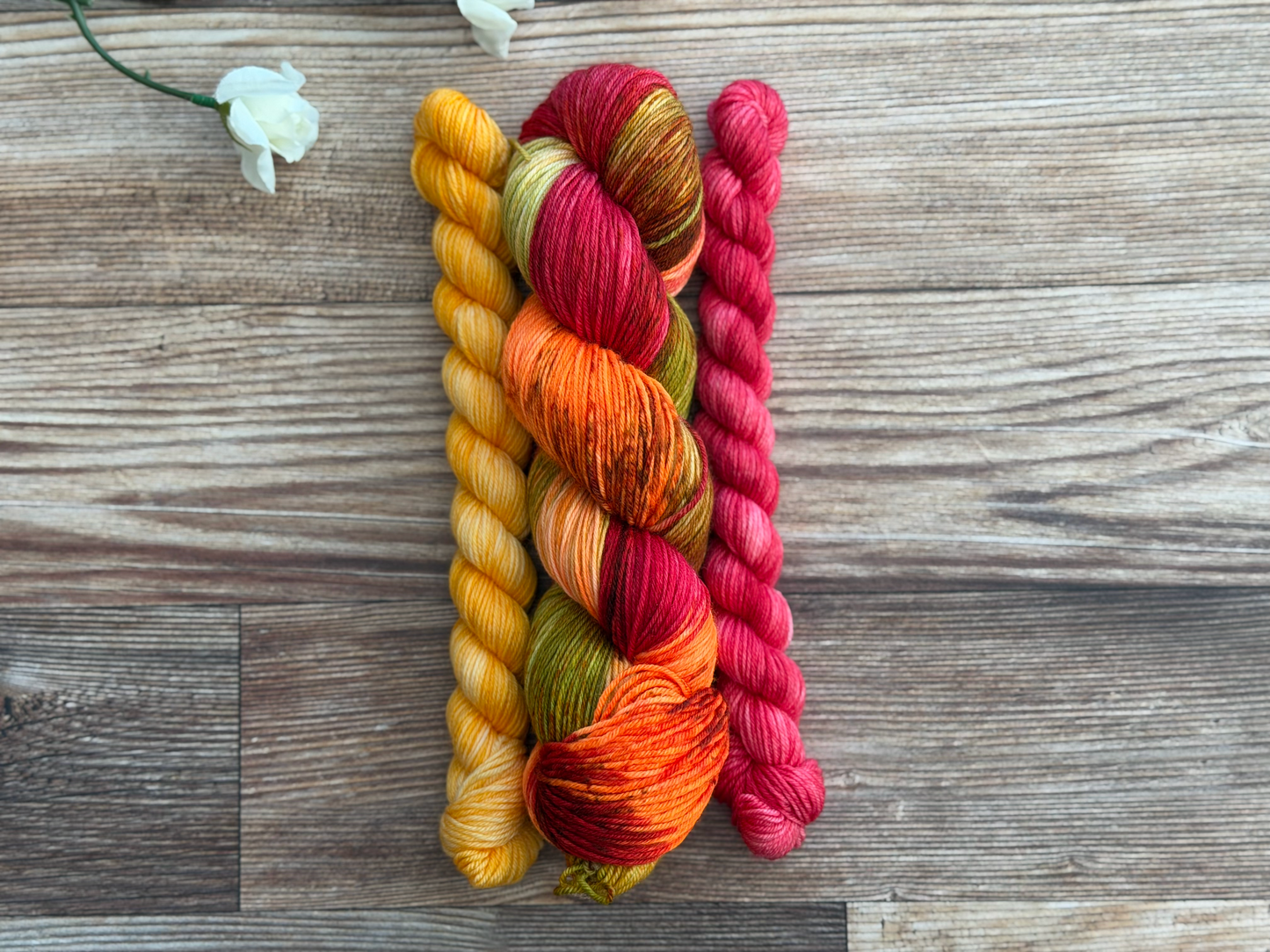 Ember Rostrata Essential Sock Set