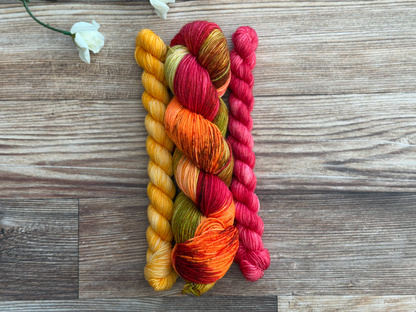Ember Rostrata Essential Sock Set