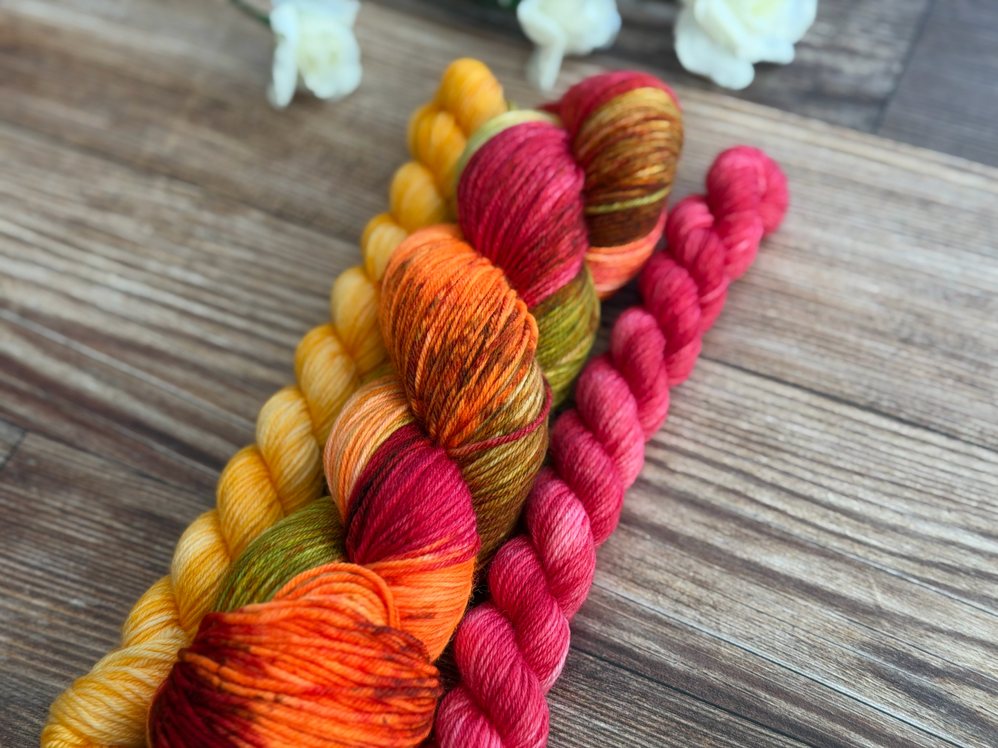 Ember Rostrata Essential Sock Set