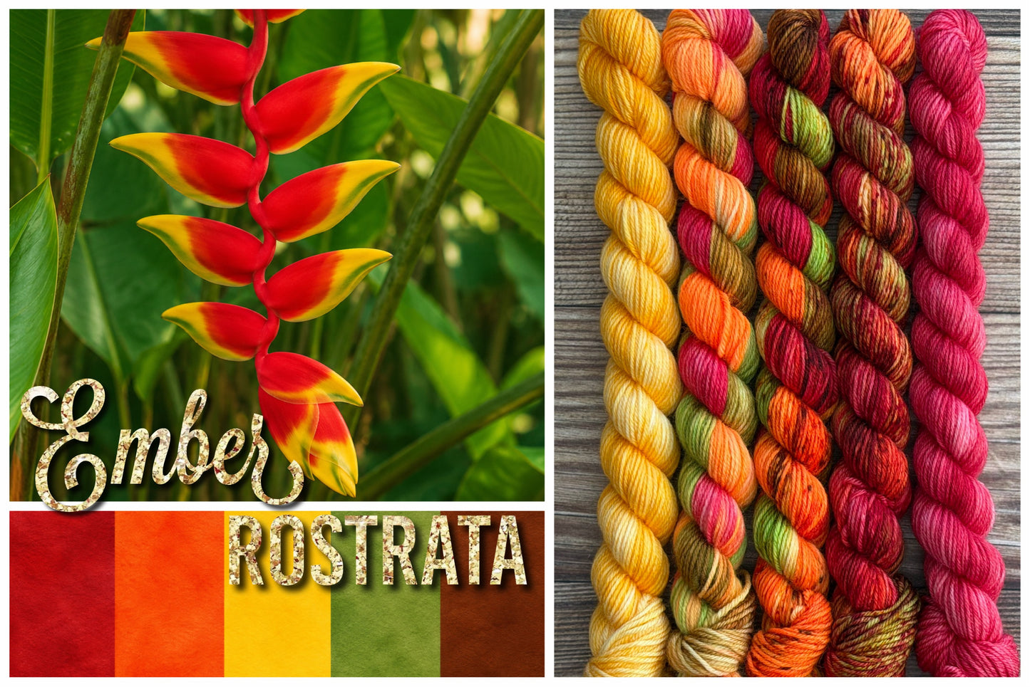Ember Rostrata Essential Sock Set